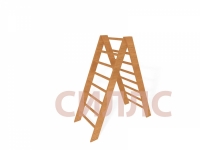 ������ �������� ���� "�����"