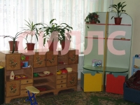 ������ ����