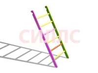 �������� � ��������