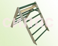 ������ �������� ���� �����