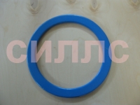 ������ �������